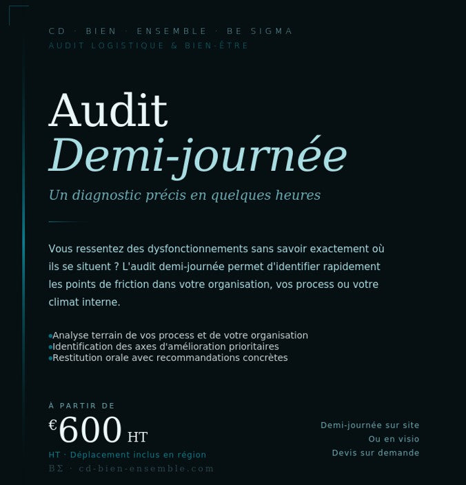 Audit Demi-journée